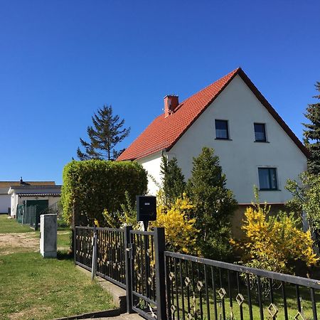 Ferienwohnung Chihuahua Thiessow Bagian luar foto